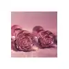 Glaze Glass - Rosebud Anal Training Set. Zestaw treningowy różowych, szklanych plugów analnych z ozdobnymi różami 
