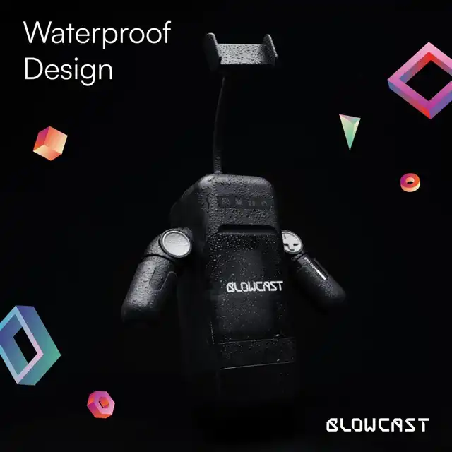 55-BLOW001_01