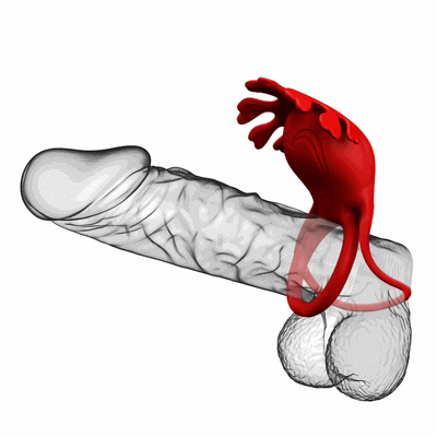 Pretty Love - Rubin Vibrant Penis Ring. Podwójny wibrujący ring na penisa ze stymulatorem łechtaczki w kształcie serc, genialny walentynkowy gadżet