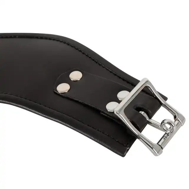 Bad Kitty - Collar black. Szeroka, skórzana obroża z ringiem do przypięcia smyczy, doskonale podkreśla uległość i pokorę w estetycznym stylu