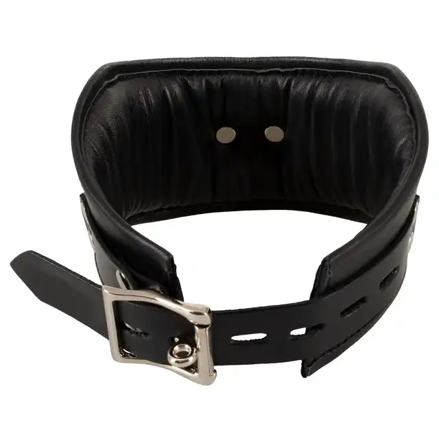Bad Kitty - Collar black. Szeroka, skórzana obroża z ringiem do przypięcia smyczy, doskonale podkreśla uległość i pokorę w estetycznym stylu