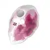 Satisfyer - Cloud Dancer Red/White. Wibrator do łechtaczki w kształcie chmurki, stymulacja wibracją z falą ciśnienia wnosi odrobinę romantyzmu do Twojej sypialni