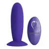 BI-040045WL_02