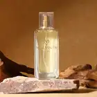 Malvolia - Prime For Men 50ml. Feromony męskie roztaczające aurę męskości, łączą w sobie nuty grejpfruta, pieprzu i wetywerii