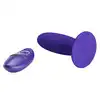 BI-040045WL_05