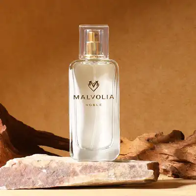 Malvolia - Noble For Men 50ml. Feromony męskie z kompozycją o mocnym charakterze, łączą w sobie nuty imbiru, szałwii i fasoli tonki