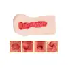 TAMASHII - Squeezing Ranch Male Masturbator. Realistyczna pochwa anime dziewczyny, masturbator z teksturowanym wnętrzem,  inspirowany mangą