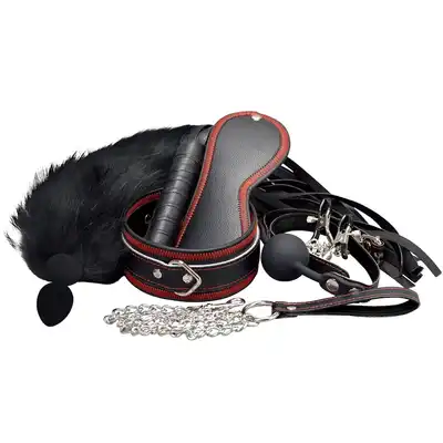 Erospace - Wild Play BDSM 7pcs Set.  Zestaw BDSM z kneblem, obrożą, smyczą, zaciskami na sutki, opaską na oczy i silikonowym korkiem analnym dla prawdziwych miłośników kontrolowanej przyjemności