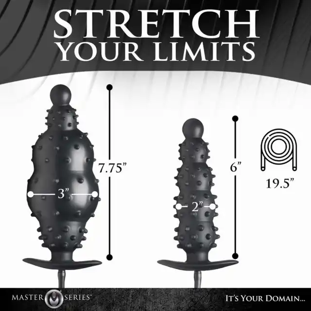 55-AH219_16