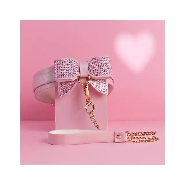 Ouch! - Paris Collection Collar with Leash. Kontrola i elegancja z obrożą i smyczą w paryskim stylu