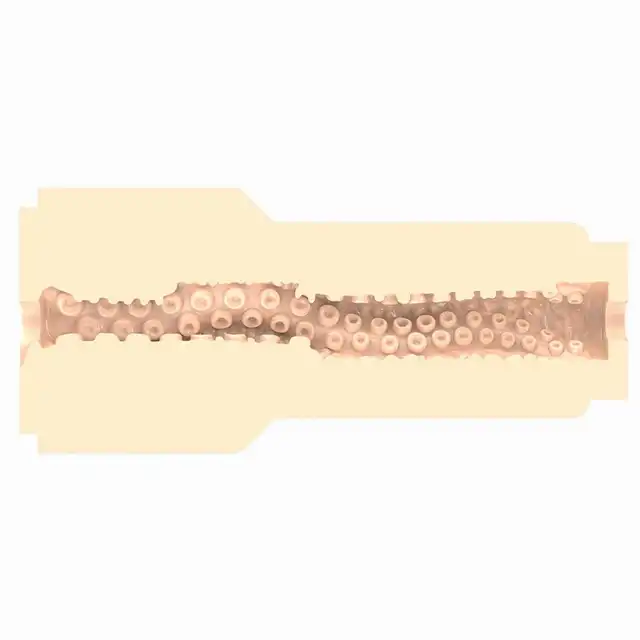 55-120291-BEIGE_07