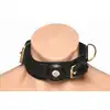 Master Series - Tracking Collar Black. Czarna obroża śledząca dla uległego z miejscem na AirTag – styl i pełna kontrola
