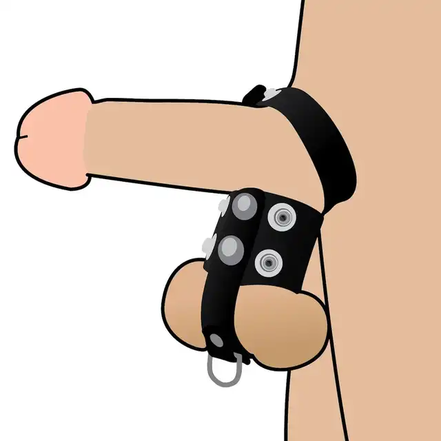Erospace - Wild Play Cock and Balls Strap C20. Regulowana opaska zaciskowa na penisa i jądra, intensyfikuj doznania