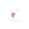 30-11092-X-PINK_05