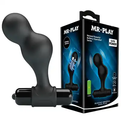 BI-040133-MR_01