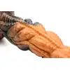 Creature Cocks – Ravager Rippled Tentacle Dildo. Fantastyczny dildo-tentacle z przyssawką dla intensywnych, kosmicznych doznań.