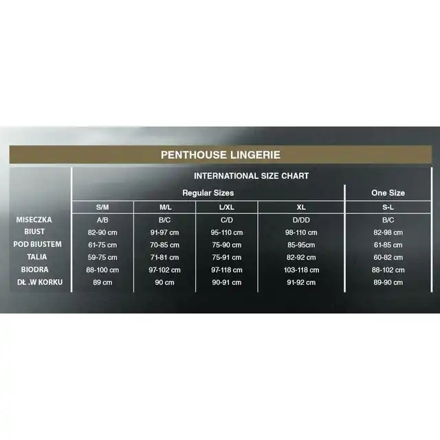 Penthouse - No Taboo Black. Bezszwowe body z elastycznej siateczki podkreślające kobiece kształty