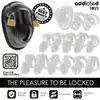 Addicted Toys Locked - Keyless Restraint Penis Cage - Pas cnoty dla mężczyzn o konstrukcji Shell z dwoma kłódkami i wymiennymi ringami.