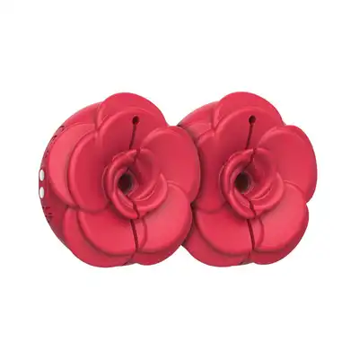 55-120937-RED_01
