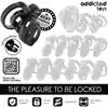 Addicted Toys - Eternal Lock Penis Cage 9 cm - Pas cnoty dla mężczyzn z podstawą do stymulacji cewki moczowej. Wymienne pierścienie i klucze w zestawie.