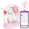 Bseries - Squirrel Smart Tail. Sterowana aplikacją przesłodka wielofunkcyjna wiewiórka.