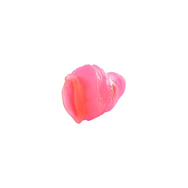 3000003886_2