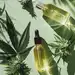 Cannabis i seks: Jak konopie wpływają na życie intymne? Wykład nr. 164